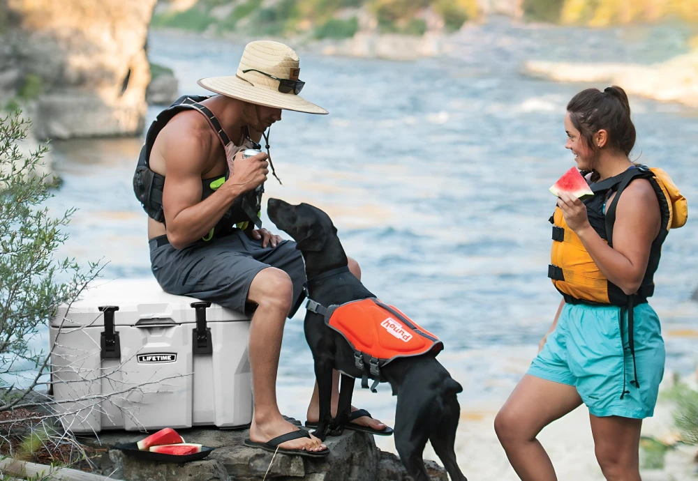 beer ice chest cooler