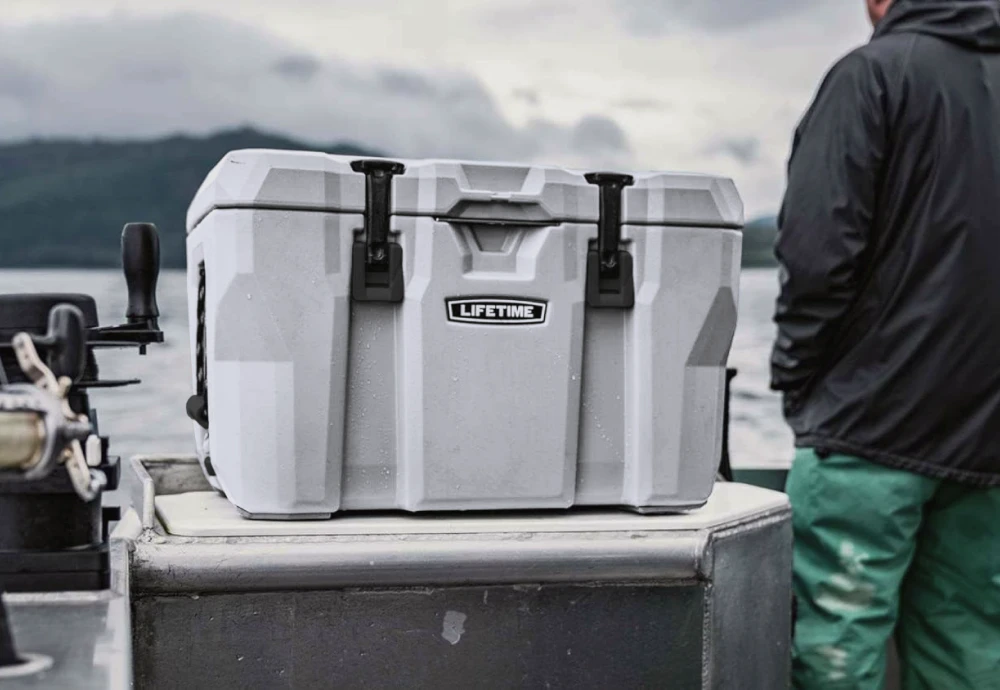 outdoor beer and wine cooler