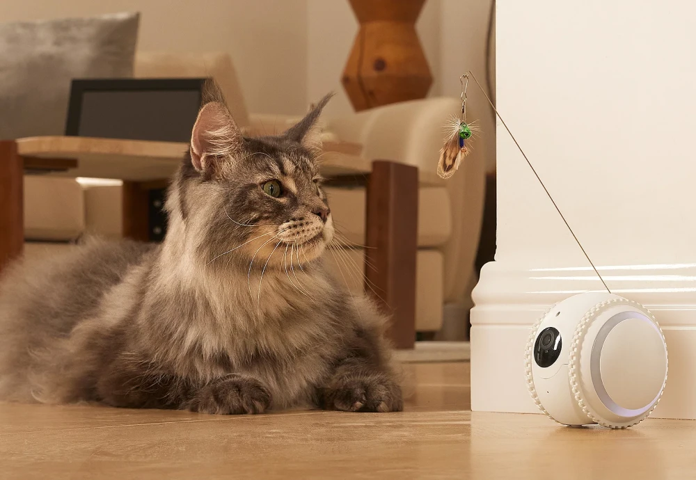 interactive pet camera