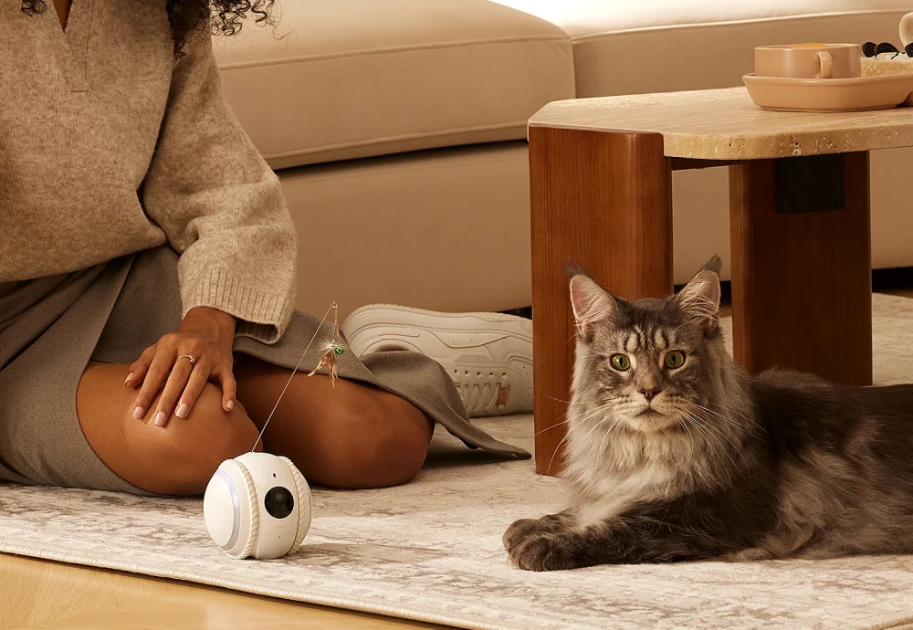 home pet camera