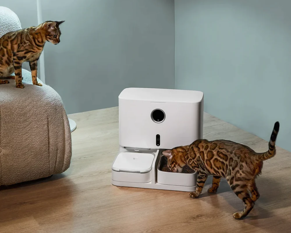 pet smart automatic pet feeder