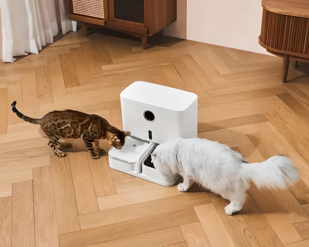 pet food automatic dispenser