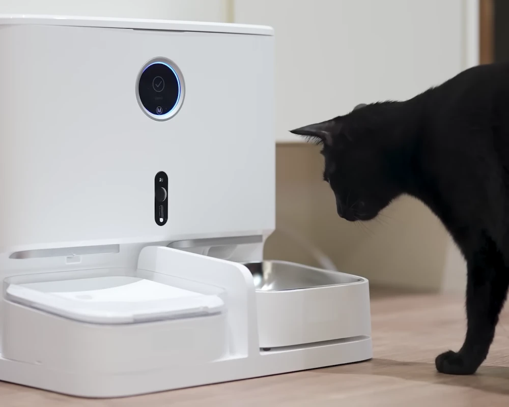 cat automatic pet feeder